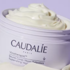 CAUDALIE VINOTHERAPIST BODY BUTTER 250ML-7709